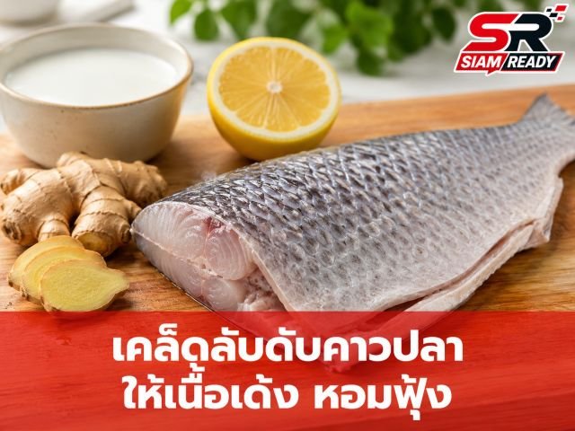 เผยเคล็ดลับจัดการ 'กลิ่นคาวปลา' ให้หมดสิ้น เปลี่ยนเมนูธรรมดาให้หอมฟุ้งเนื้อเด้งน่าทาน