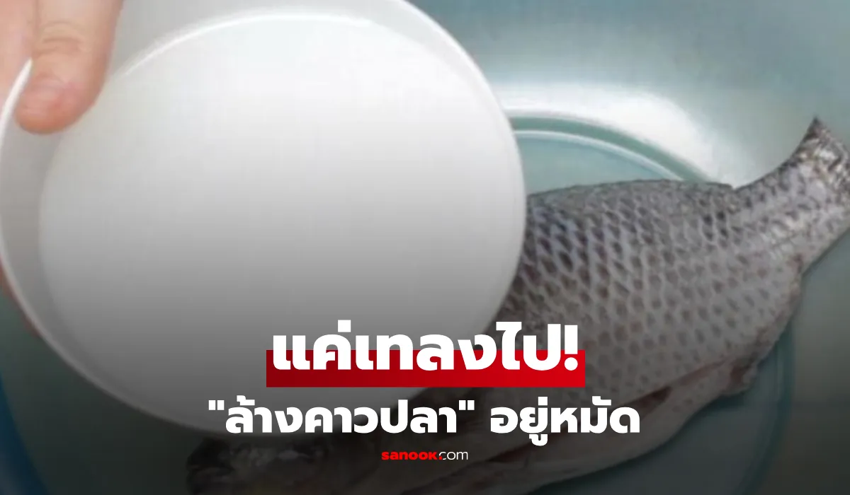 เผยเคล็ดลับจัดการ 'กลิ่นคาวปลา' ให้หมดสิ้น เปลี่ยนเมนูธรรมดาให้หอมฟุ้งเนื้อเด้งน่าทาน
