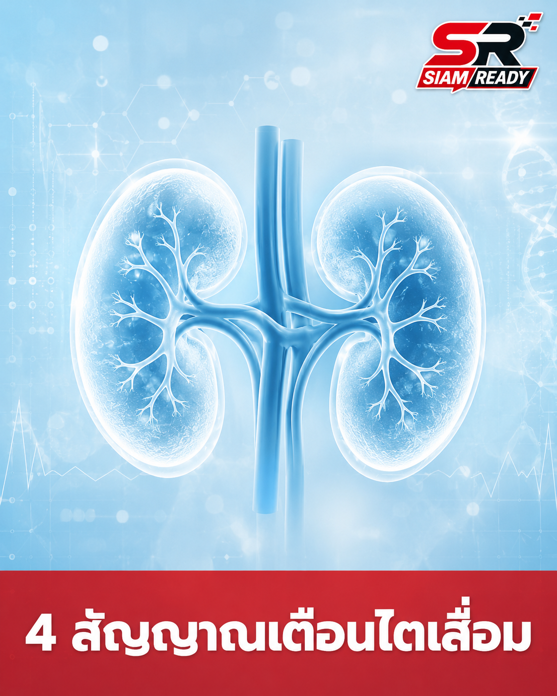 อย่ารอให้ปวดหลัง! เปิด 4 สัญญาณเตือนภัย 'ไตเสื่อม' ก่อนสายเกินแก้