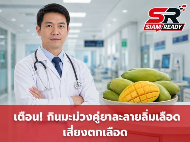 แพทย์เตือนผู้ใช้ยาละลายลิ่มเลือด เลี่ยงกิน 'มะม่วง' เสี่ยงภาวะตกเลือดอันตราย