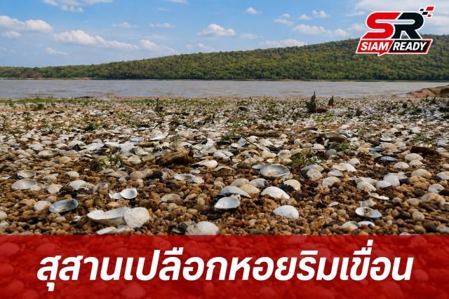 ตะลึง! สุสานเปลือกหอยนับล้านเกยตื้นริมเขื่อนมูลบน โคราช