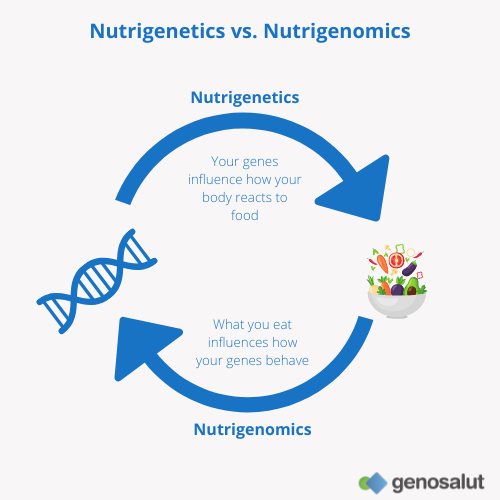 เจาะลึก 'Nutri-Genomics' เทรนด์สุขภาพปี 69 ปฏิวัติการกินด้วยรหัสพันธุกรรมเฉพาะบุคคล