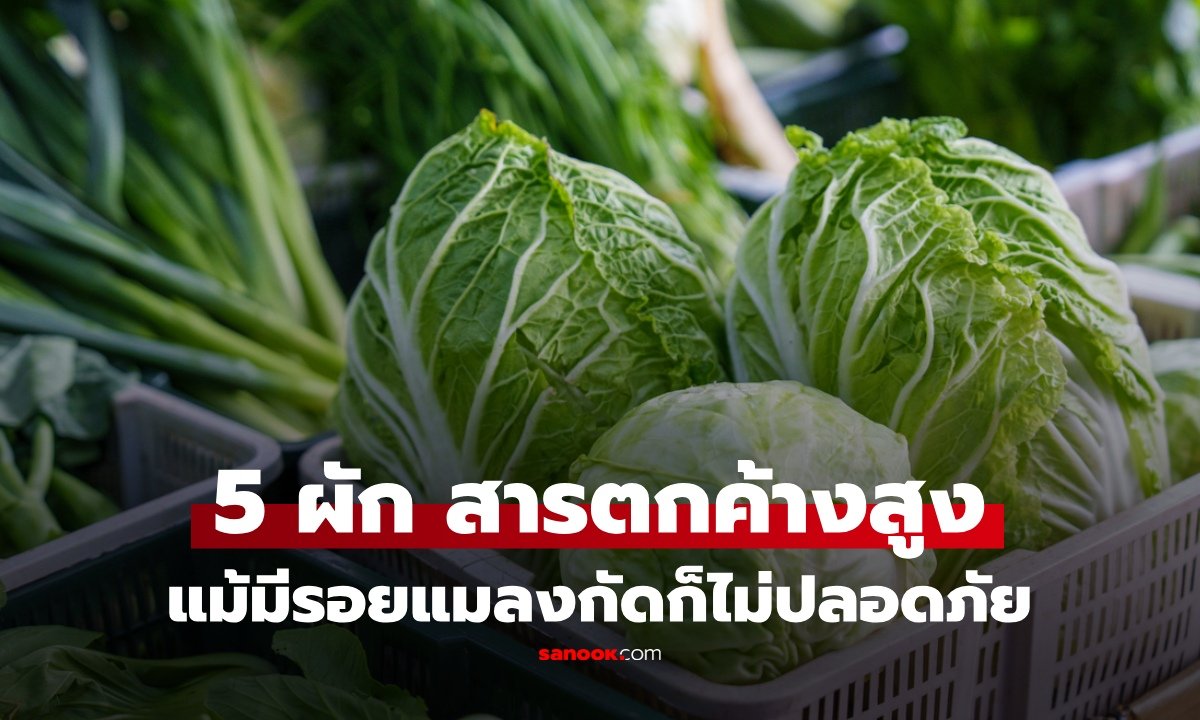เตือนภัย 5 ผักสารตกค้างสูง! ไขความจริงรอยแมลงกัดกินไม่ได้แปลว่าปลอดภัย