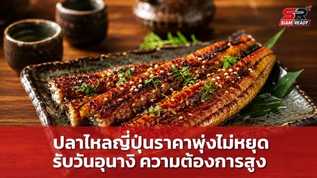 ยกระดับปลาดุกไทย สู่เมนูพรีเมียมไร้ก้าง รสสัมผัสใกล้เคียงปลาไหลญี่ปุ่นในราคาสบายกระเป๋า