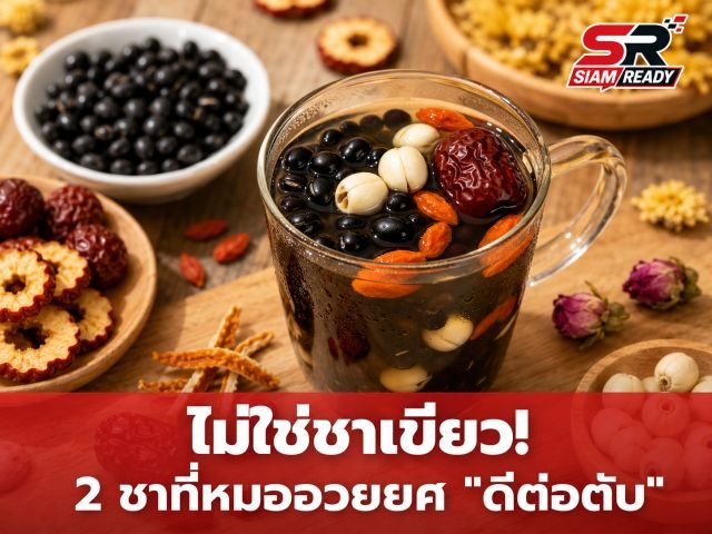 แพทย์แผนจีนแนะ 2 สูตรชาสมุนไพร บำรุงตับ-ปรับสมดุลระบบย่อยอาหาร