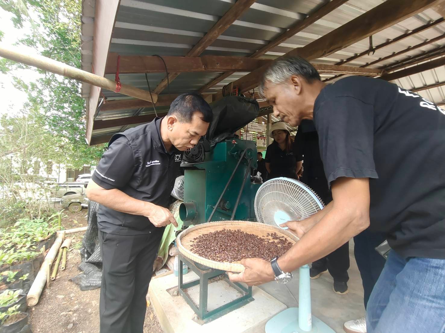 ชูโมเดลสวนกาแฟโรบัสต้าชุมพร ขับเคลื่อนเกษตรเชิงฟื้นฟูด้วยนวัตกรรมยั่งยืน