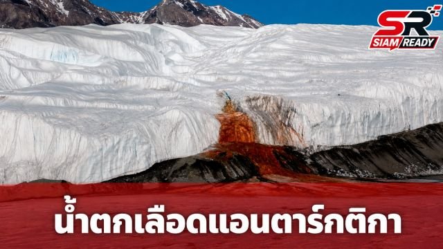 ไขปริศนา 100 ปี 'Blood Falls' น้ำตกเลือดแห่งแอนตาร์กติกา สีแดงฉานไม่ใช่สาหร่าย