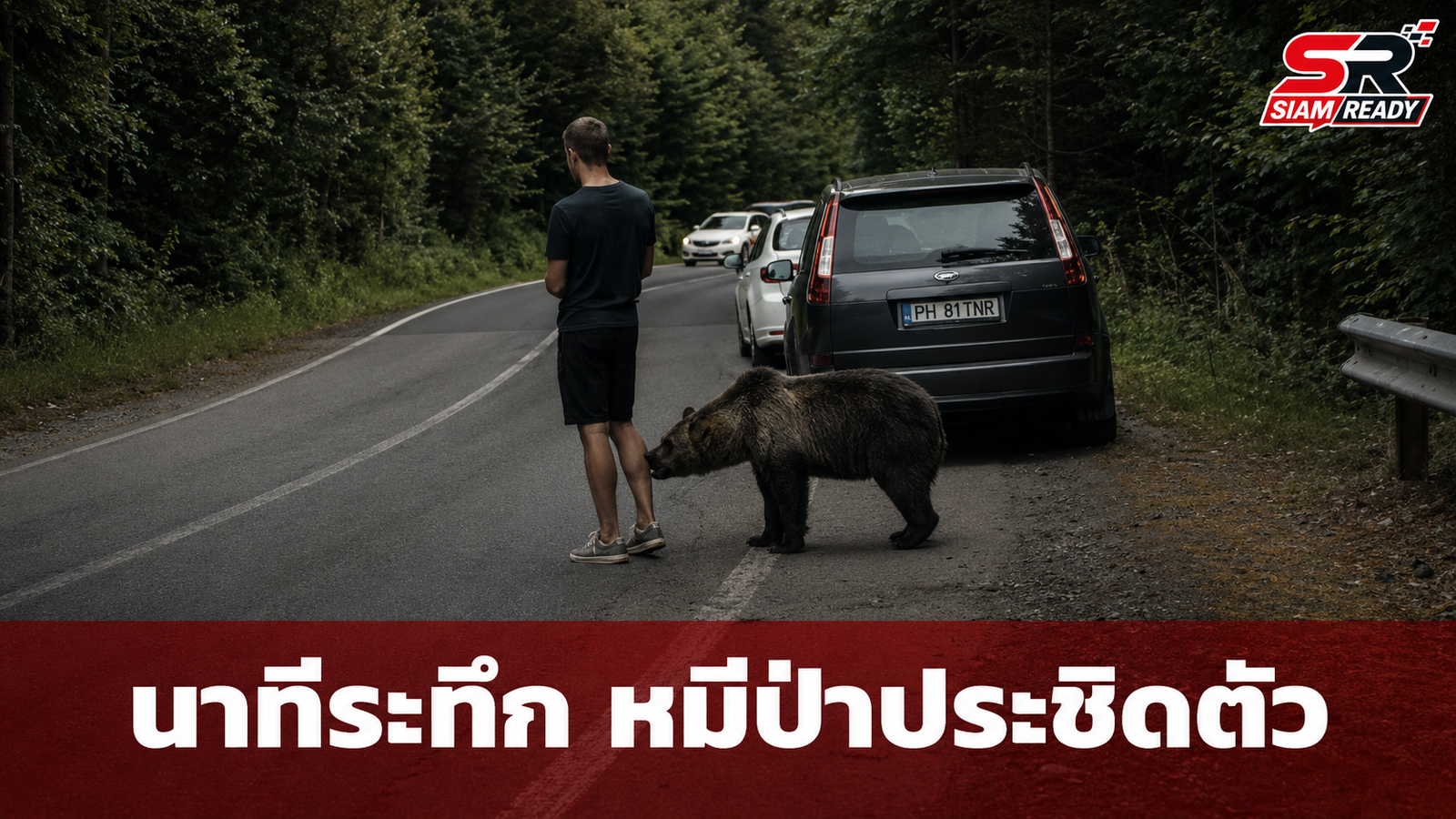 นาทีระทึก! หมีป่าบุกประชิดน่องขาชายหนุ่มกลางถนนโรมาเนีย ชาวเน็ตแห่ชมคลิปไวรัล