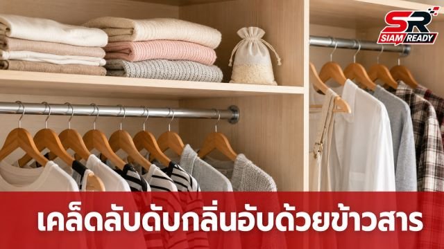 เคล็ดลับก้นครัว! ใช้ 'ข้าวสาร' ดับกลิ่นอับในตู้เสื้อผ้า ทำง่ายประหยัดงบ