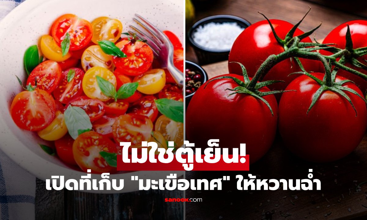 เลิกแช่ตู้เย็น! เผยเคล็ดลับเก็บ 'มะเขือเทศ' ให้คงความหวานฉ่ำ ไม่จืดชืด