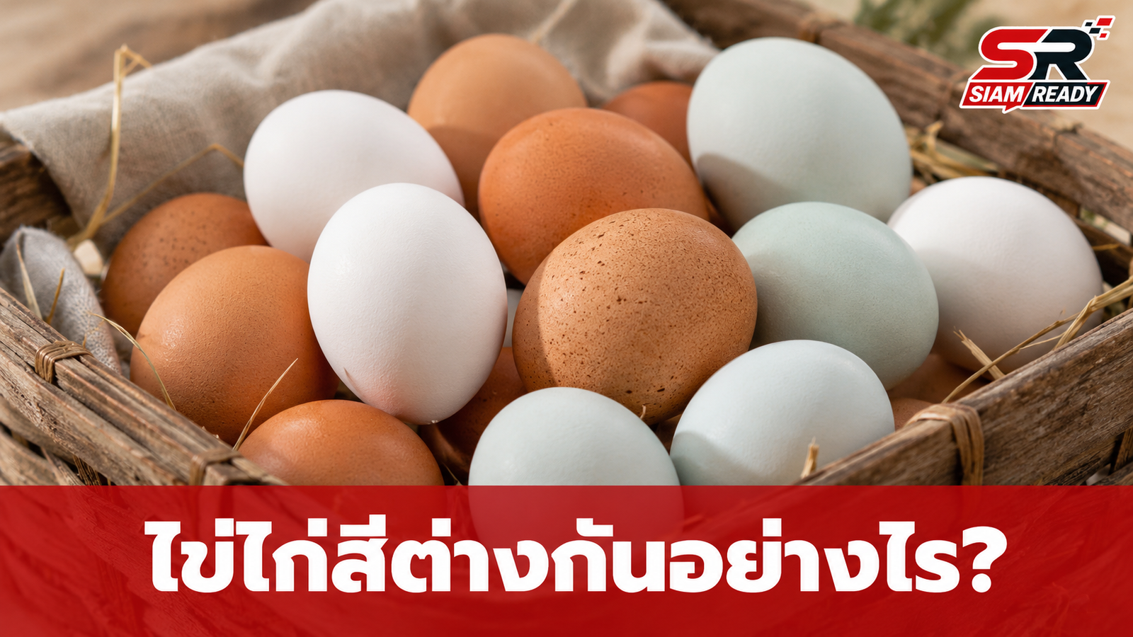 ไข่ไก่สีน้ำตาล vs สีขาว ต่างกันอย่างไร? ไขข้อข้องใจเรื่องสีเปลือกไข่จากธรรมชาติ