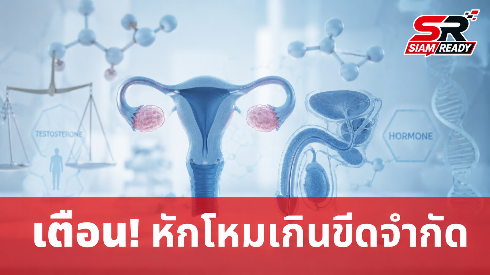 แพทย์เตือน! การมีเพศสัมพันธ์เกินขีดจำกัด ส่งผลเสียต่อสุขภาพระยะยาว