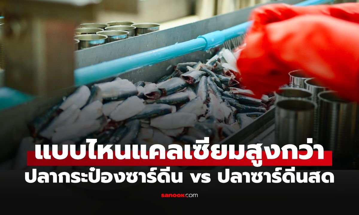 เจาะลึกความต่าง 'ปลากระป๋องซาร์ดีน' กับ 'ปลาสด' แบบไหนให้แคลเซียมสูงกว่ากัน?