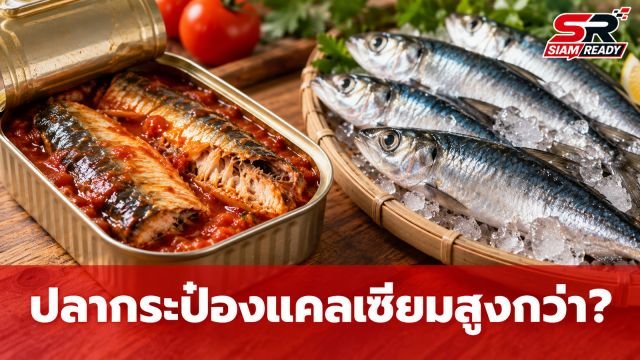 เจาะลึกความต่าง 'ปลากระป๋องซาร์ดีน' กับ 'ปลาสด' แบบไหนให้แคลเซียมสูงกว่ากัน?